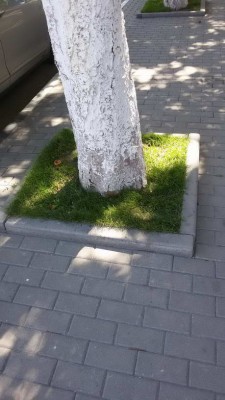 20150803_110841.jpg