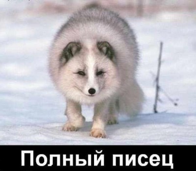 1 писец.jpg