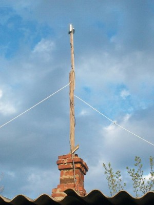 100_3963.jpg