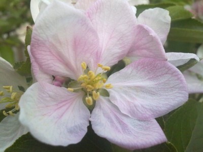 05052010153.jpg