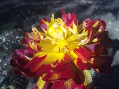 08052010171.jpg