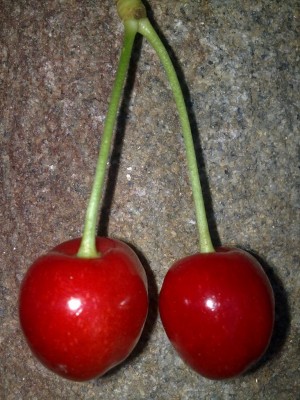 08062010299.jpg