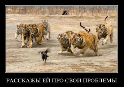 0_9375b_a2eb432a_orig.jpg
