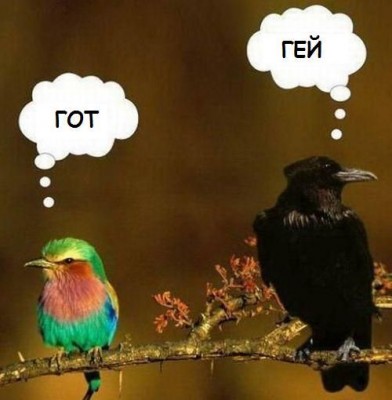 672.jpeg