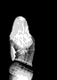 699326_155497.gif